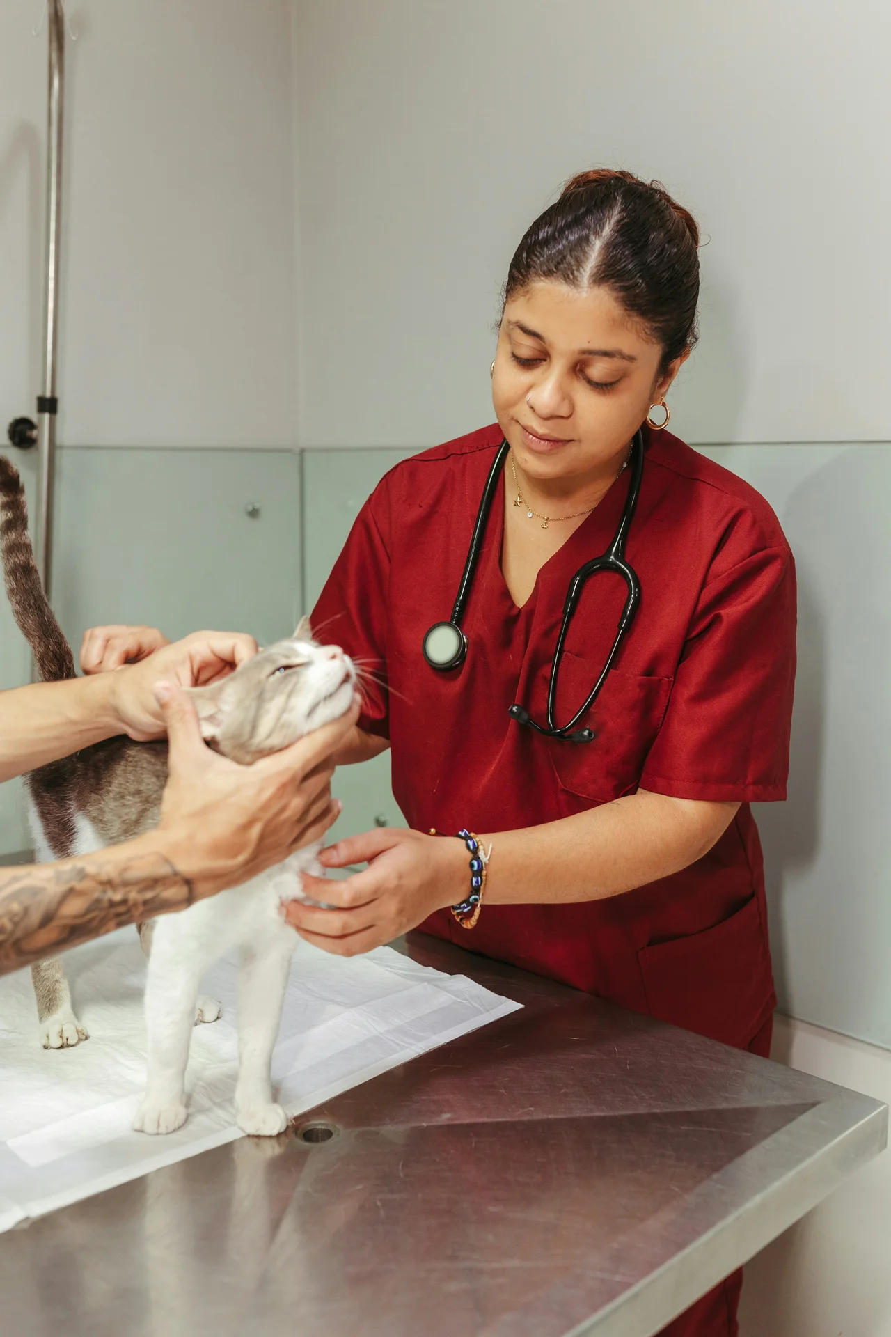 Veterinarian with cat